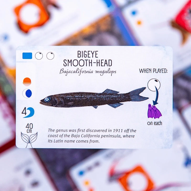 Finspan(Finspan) Finspan(Finspan) -Games Portal Store 249699 3