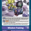 Wisdom Training [P-108] (Blast Ace Box Topper) [Promotional Cards](Wisdom Training P 108 Blast Ace Box Topper Promotional Cards)